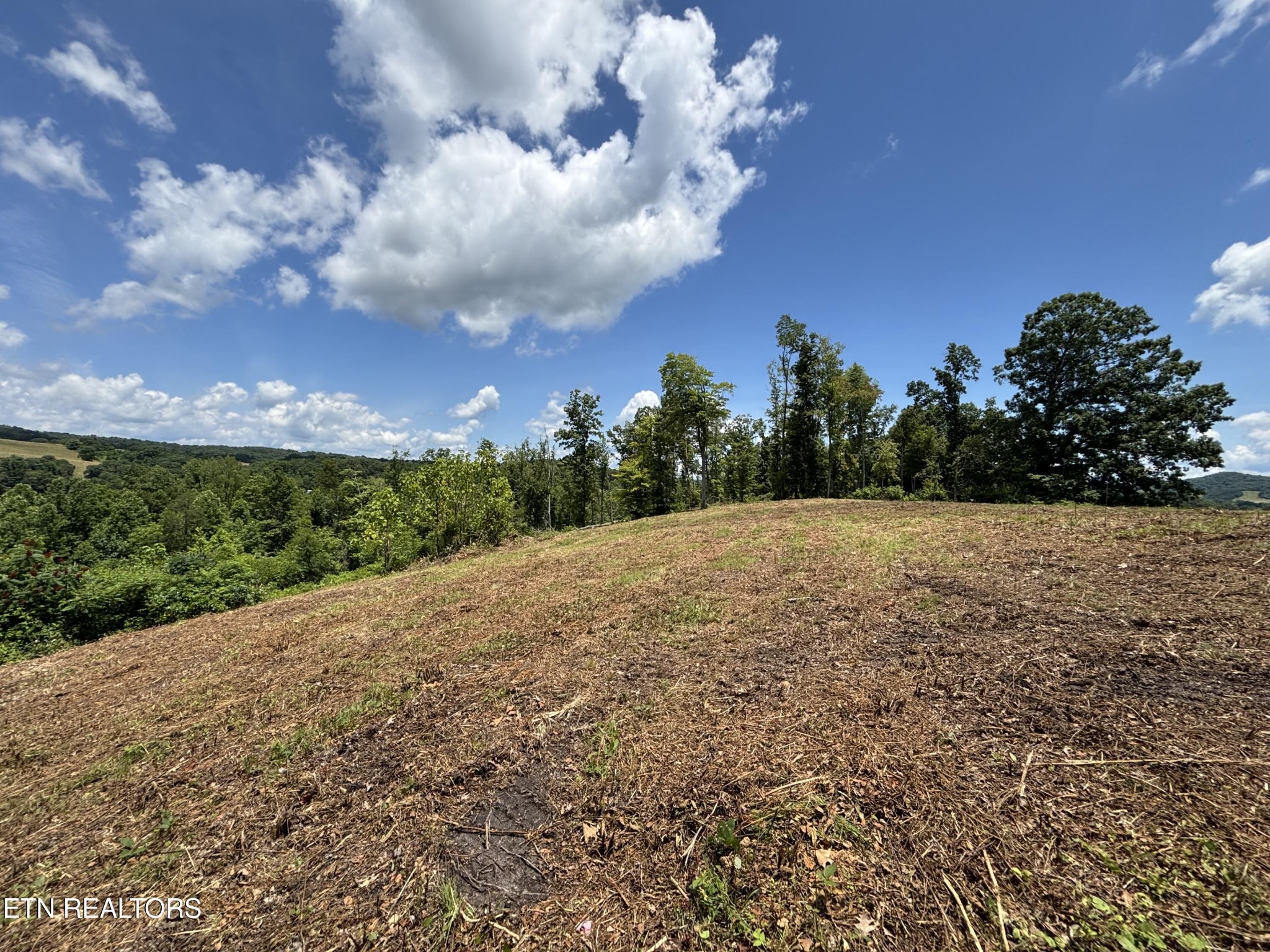 626 Sportsman Road Andersonville, TN 37705 - Photo 10 of 28 Gallery Image 10