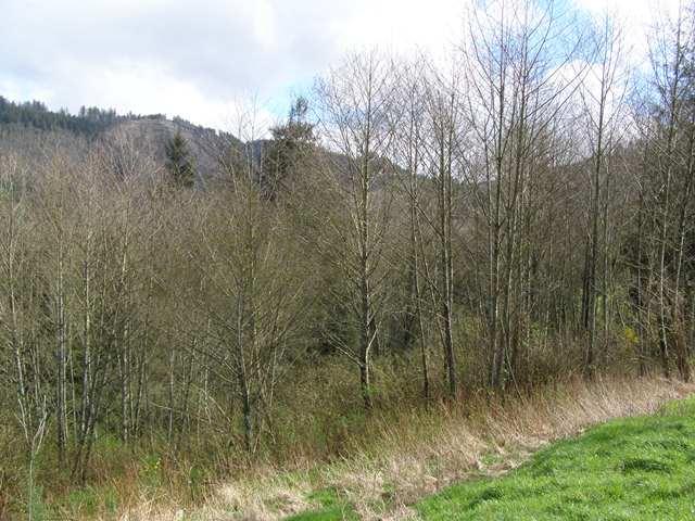 23 Skyview Road Tillamook, OR 97141 - Photo 10 of 41 P3180280