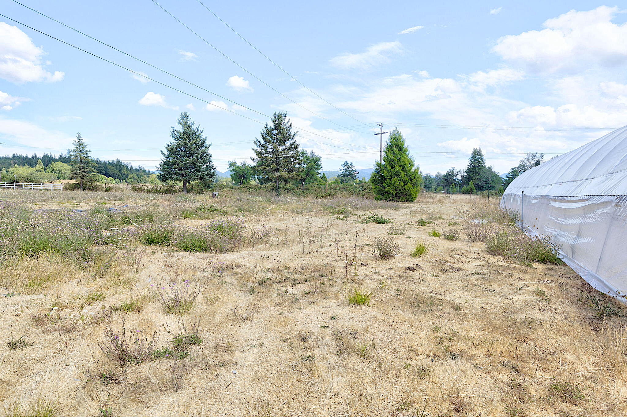 187 Norman Road Selma, OR 97538 - Photo 50 of 52 21-web-or-mls-187-norman-rd
