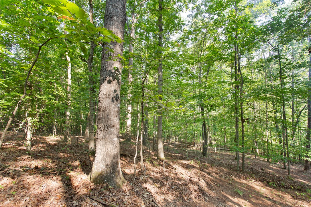 Lot 17 Sunset Ridge/ Paramount Drive Seneca, SC 29678 - Photo 10 of 19 Gallery Image 10