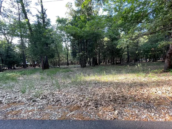a view of a yard with large trees