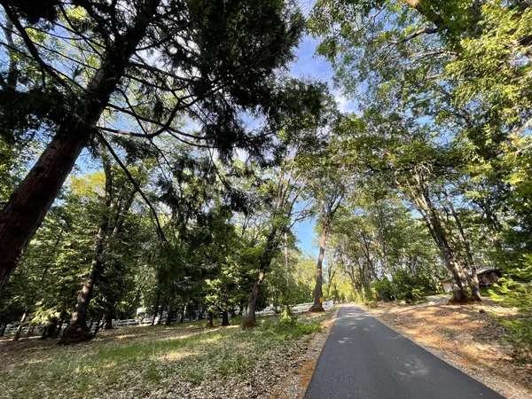 a view of a street with a tree