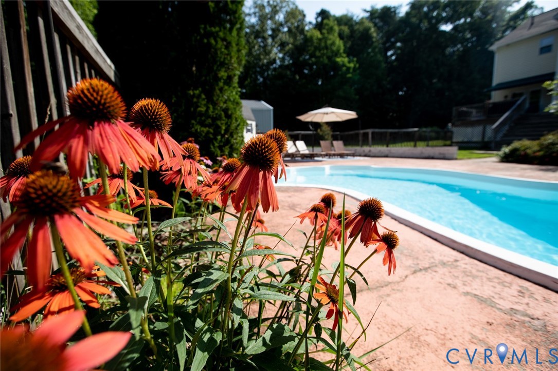 385 Asal Road Farmville, VA 23901 - Photo 5 of 68