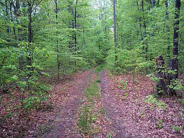 30195 Zoar Road Locust Grove, VA 22508 - Photo 2 of 4 Gallery Image 2