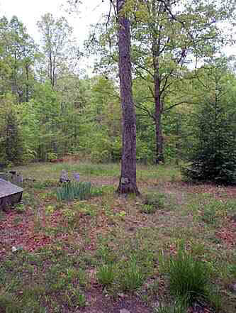 30195 Zoar Road Locust Grove, VA 22508 - Photo 4 of 4 Gallery Image 4