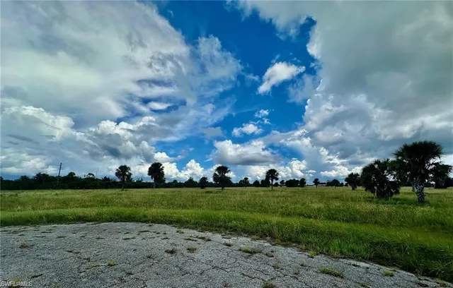 a view of a big yard