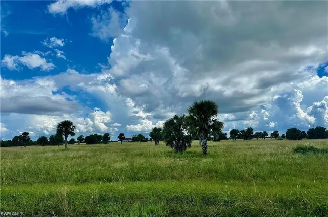 a view of building with yard