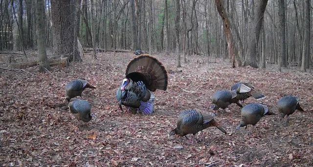 $199,999 | Tbd House Road, Summerton, SC 29148