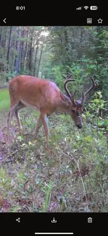 $199,999 | Tbd House Road, Summerton, SC 29148