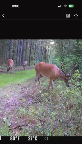 $199,999 | Tbd House Road, Summerton, SC 29148