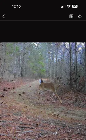 $199,999 | Tbd House Road, Summerton, SC 29148