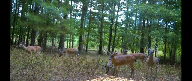 $199,999 | Tbd House Road, Summerton, SC 29148