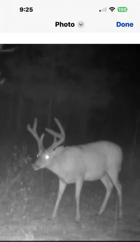 $199,999 | Tbd House Road, Summerton, SC 29148