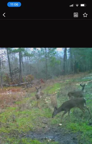 $199,999 | Tbd House Road, Summerton, SC 29148