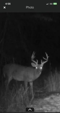 $199,999 | Tbd House Road, Summerton, SC 29148