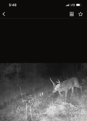 $199,999 | Tbd House Road, Summerton, SC 29148