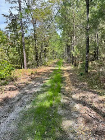 $199,999 | Tbd House Road, Summerton, SC 29148