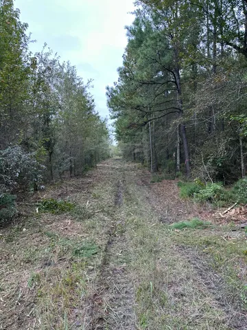 $199,999 | Tbd House Road, Summerton, SC 29148