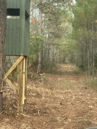 $199,999 | Tbd House Road, Summerton, SC 29148