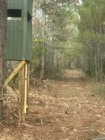 $199,999 | Tbd House Road, Summerton, SC 29148