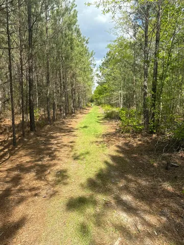 $199,999 | Tbd House Road, Summerton, SC 29148