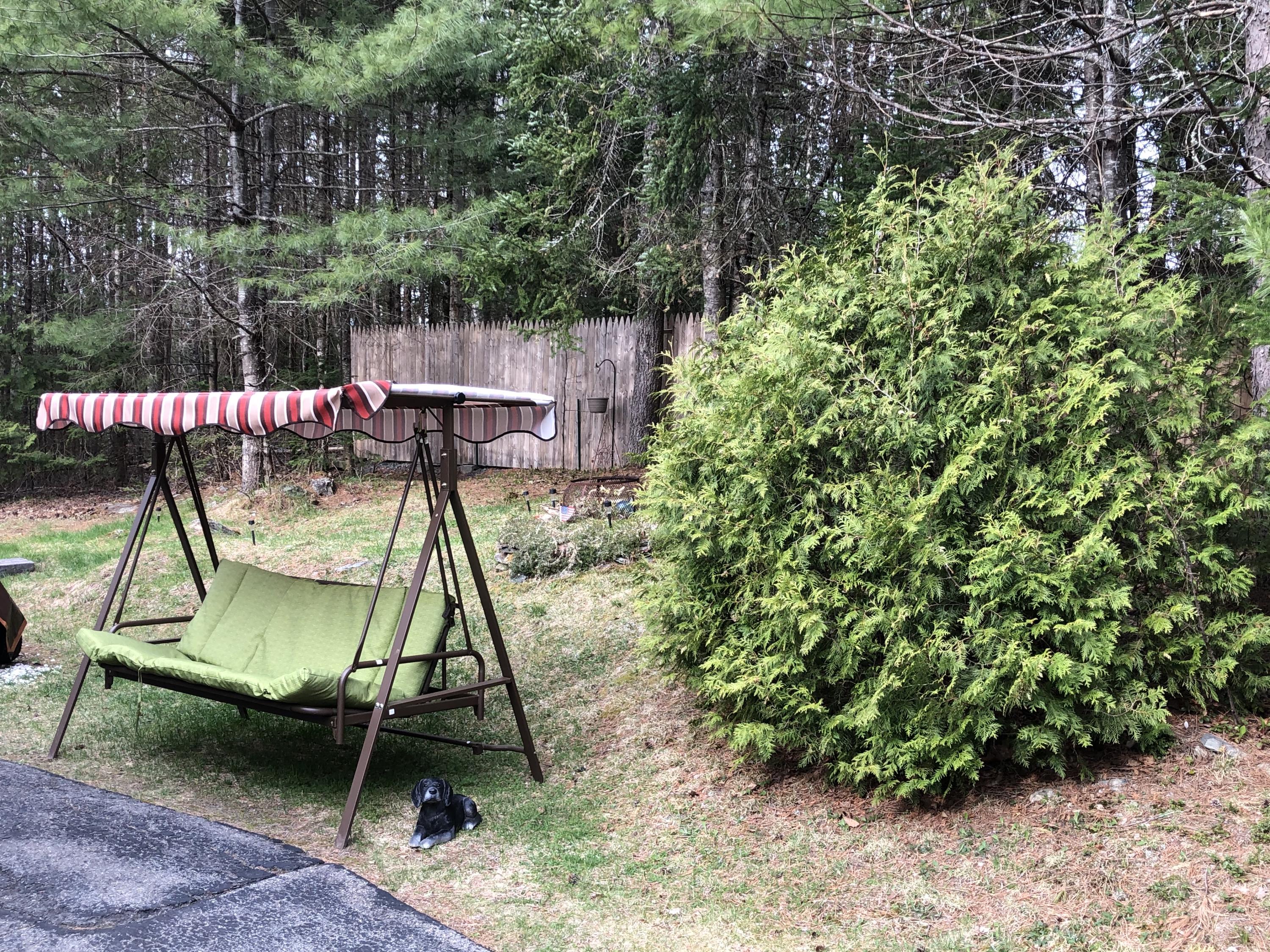 432 Levenseller Road Holden, ME 04429 - Photo 18 of 21 IMG_1006