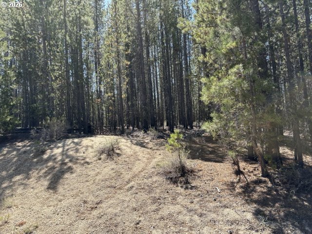 27 Surveyor Road Crescent Lake, OR 97733 - Photo 9 of 10