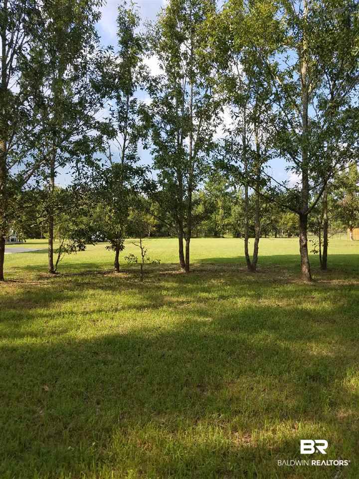 62 South County Road Robertsdale, AL 36567 - Photo 1 of 8