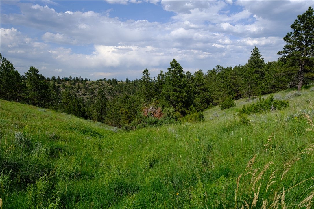 143 Owl Canyon Road Reed Point, MT 59069 - Photo 30 of 32 Gallery Image 30
