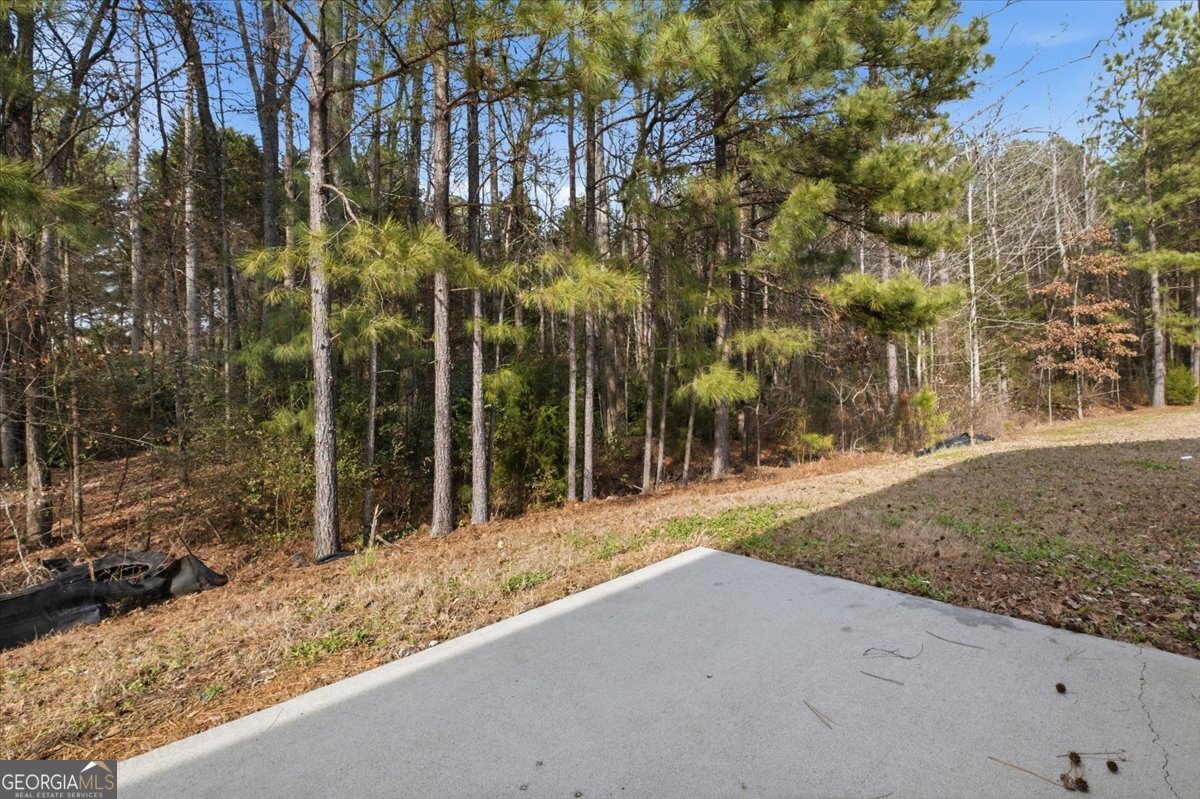 15 Grandberry Court Southwest Rome, GA 30165 - Photo 23 of 23 a view of a backyard of the house