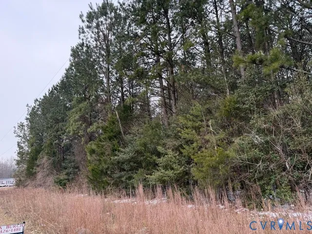 a backyard of a house with lots of trees