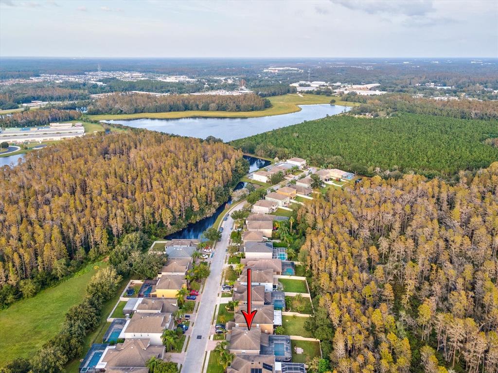 12830 Solola Way Trinity, FL 34655 - Photo 64 of 71 Gallery Image 64
