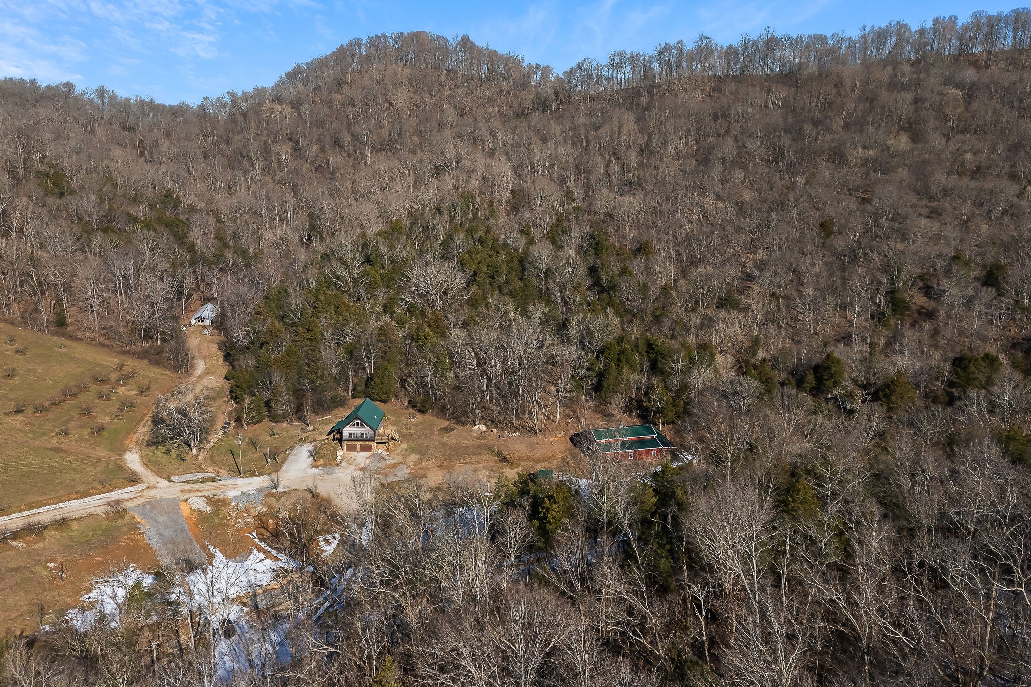 4830 Ensor Hollow Road Granville, TN 38564 - Photo 26 of 54 a view of a covered with trees in the background