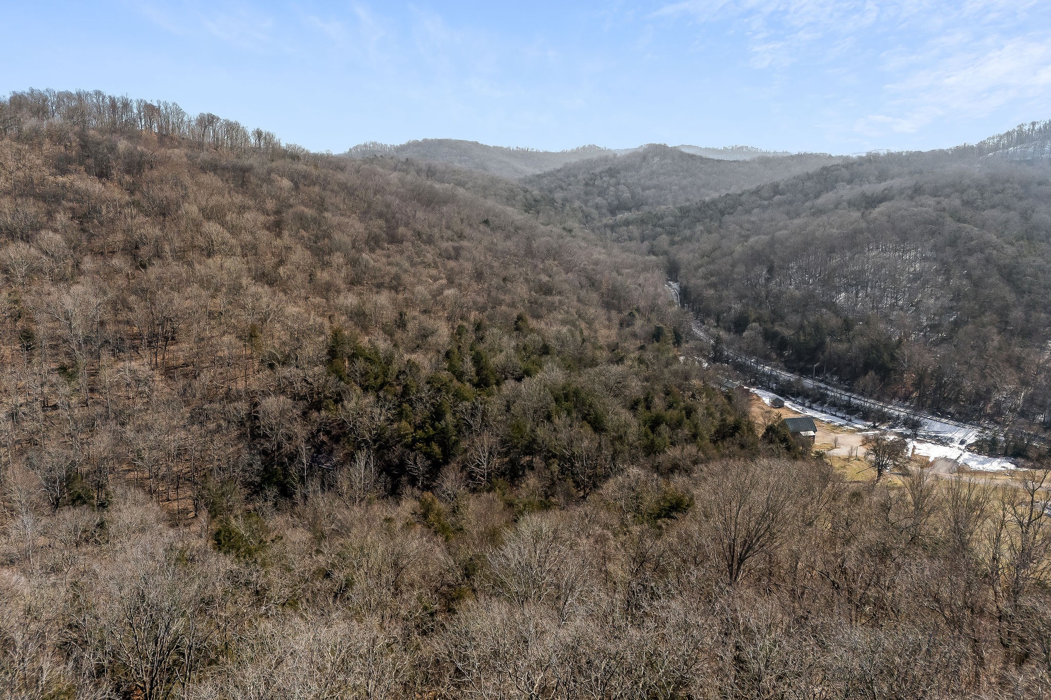 4830 Ensor Hollow Road Granville, TN 38564 - Photo 30 of 54 a view of a forest with mountains in the background