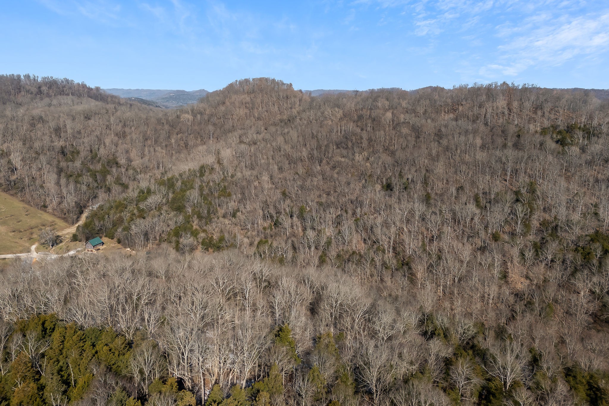 4830 Ensor Hollow Road Granville, TN 38564 - Photo 32 of 54 a view of a mountain range with trees in the background