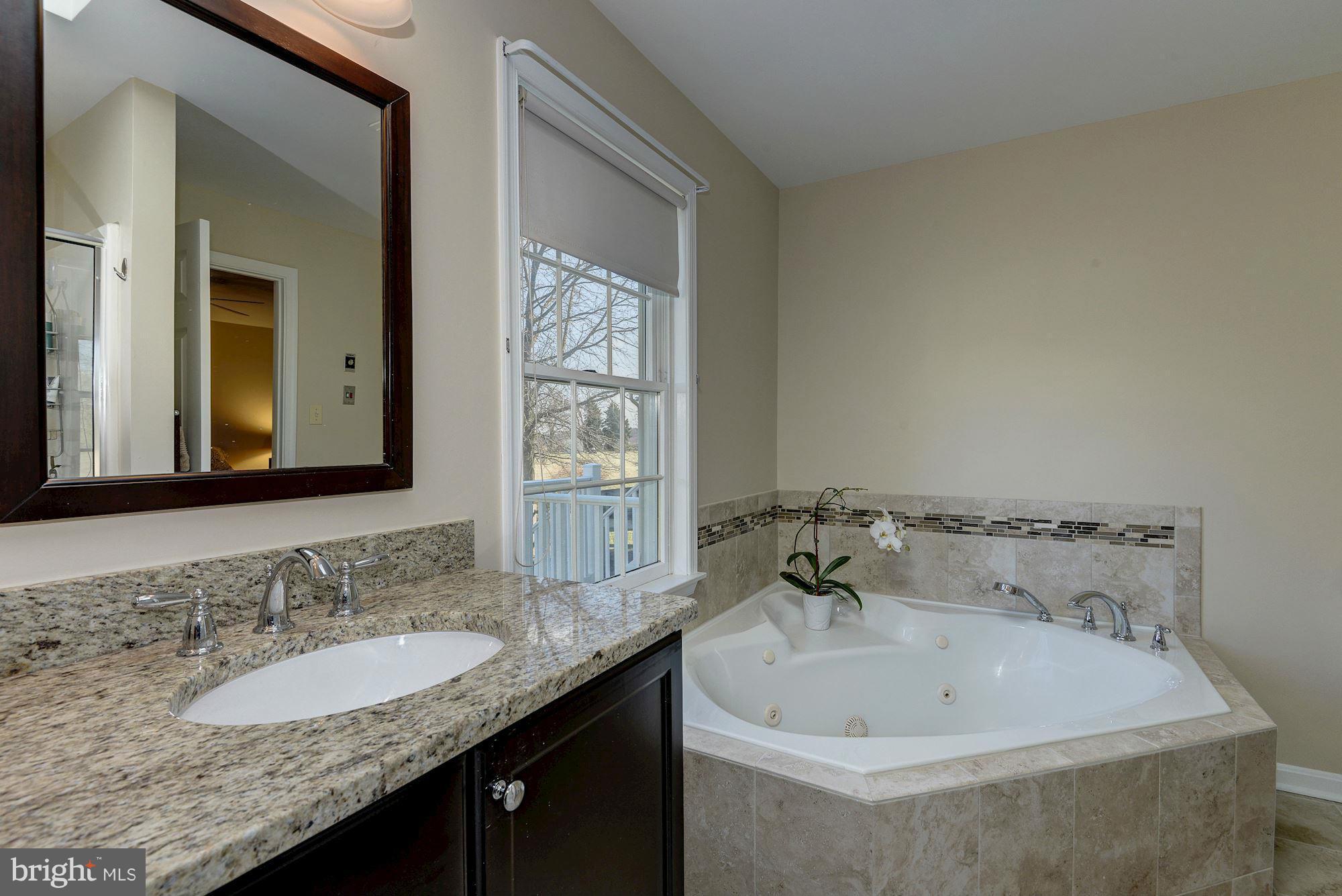 17590 Hardy Road Mount Airy, MD 21771 - Photo 15 of 30 Bath (Master)