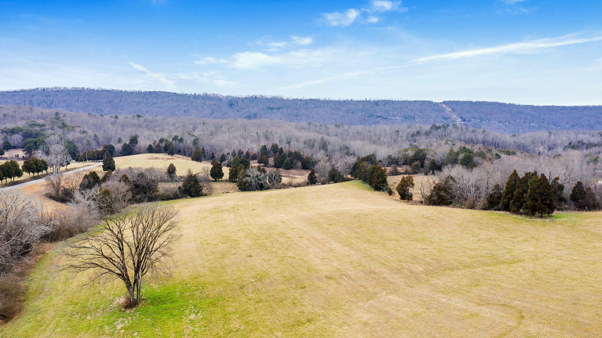 1870 Cemetery Road Spring City, TN 37381 - Photo 9 of 11 a view of balcony with mountain