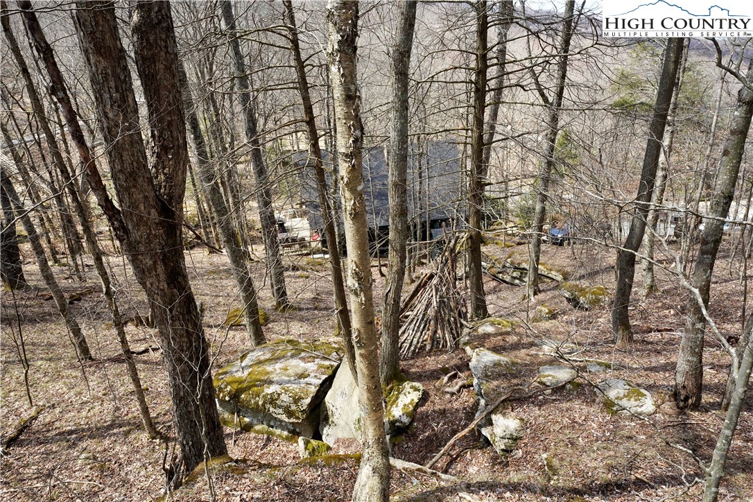 135 Tamarack Road Beech Mountain, NC 28604 - Photo 39 of 41 Gallery Image 39
