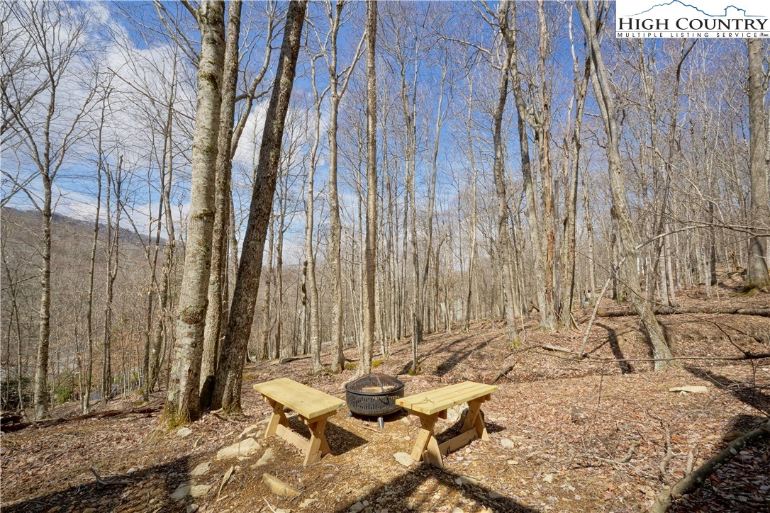 135 Tamarack Road Beech Mountain, NC 28604 - Photo 40 of 41 Gallery Image 40
