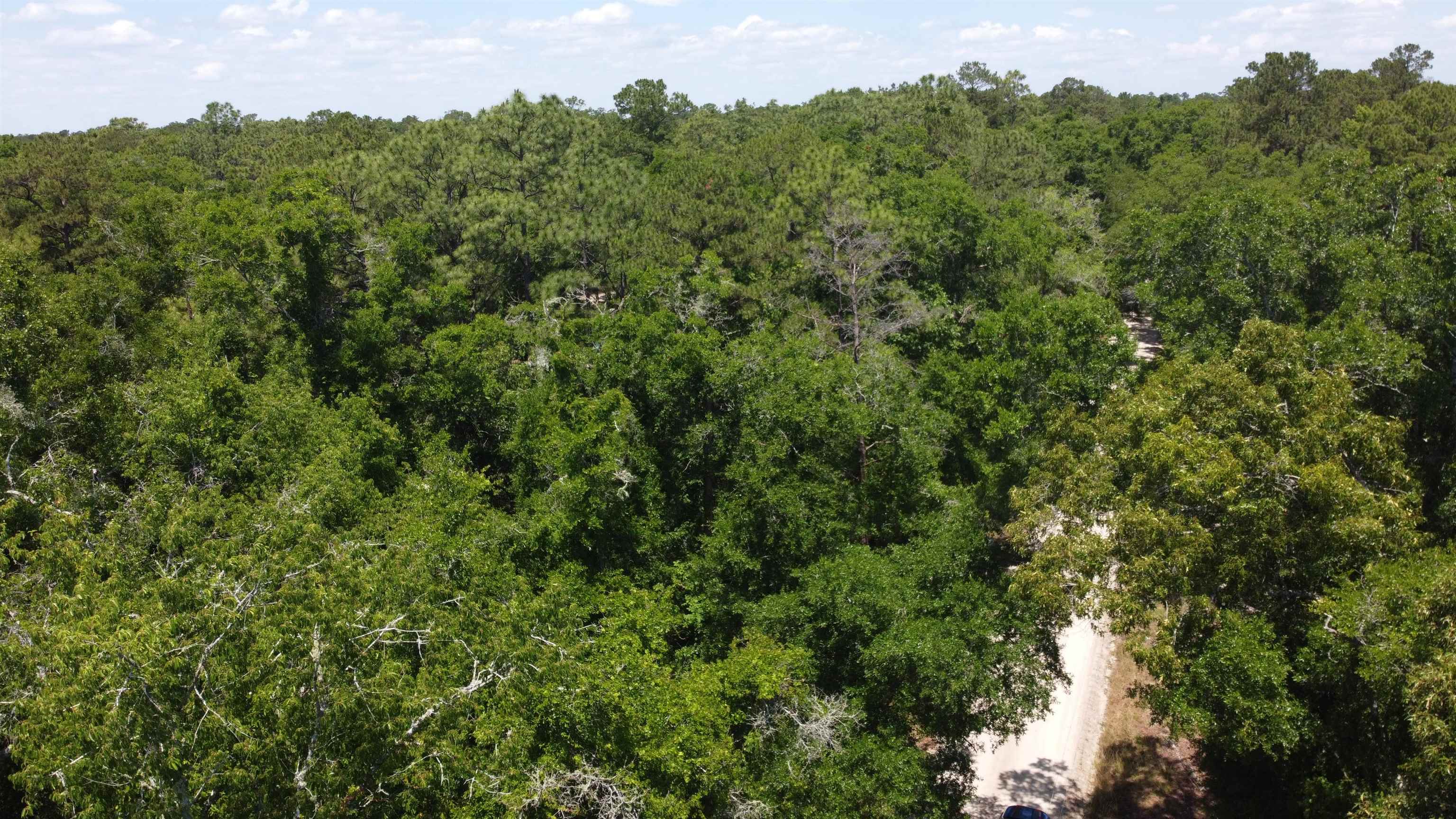 Xx Iroquois Road Crawfordville, FL 32327 - Photo 3 of 14