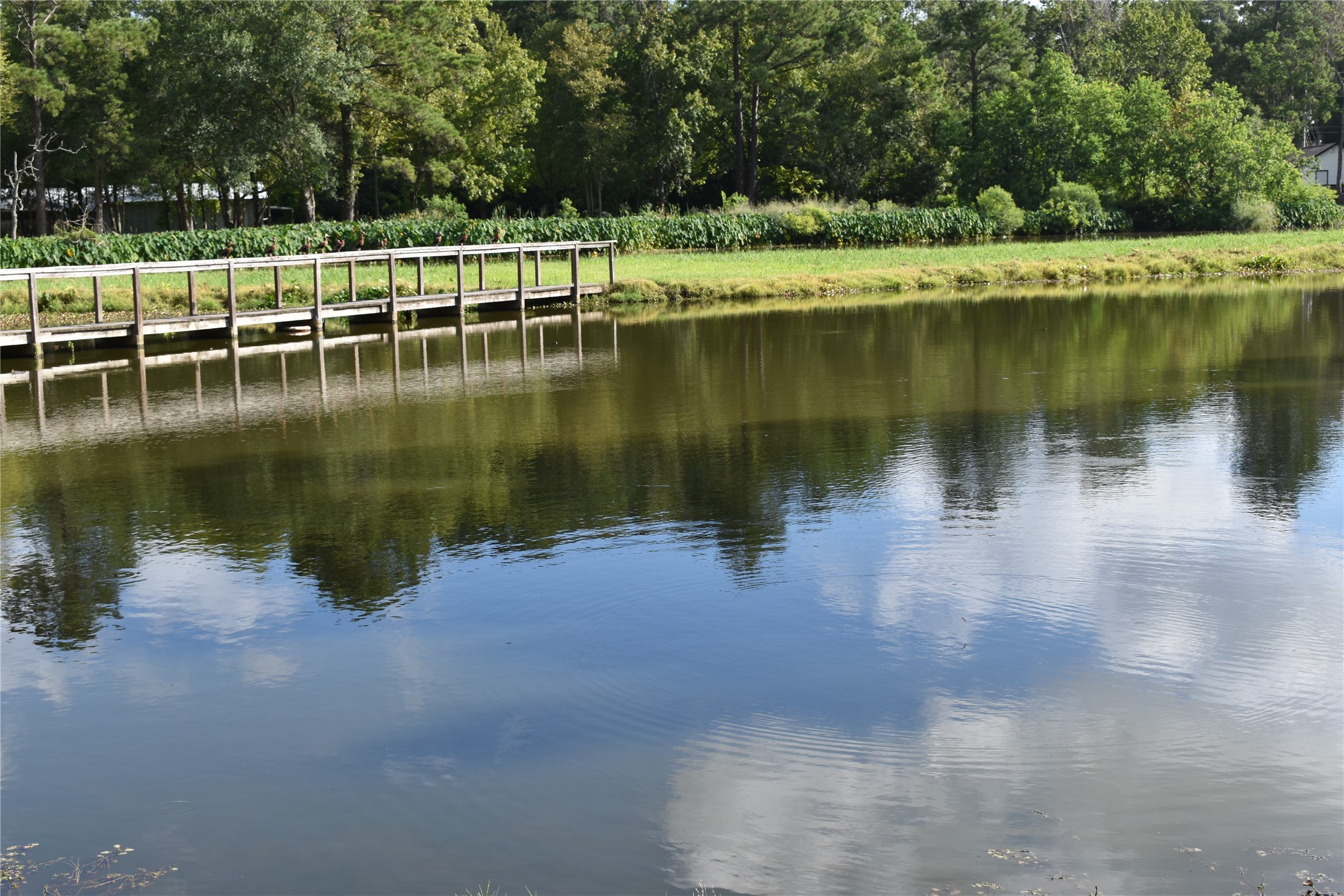 302 Arrowhead Drive Conroe, TX 77316 - Photo 13 of 23 a view of a lake with houses with yard