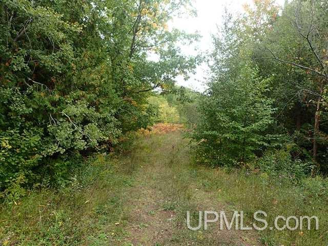 State Line Road Hurley, WI 54534 - Photo 10 of 11