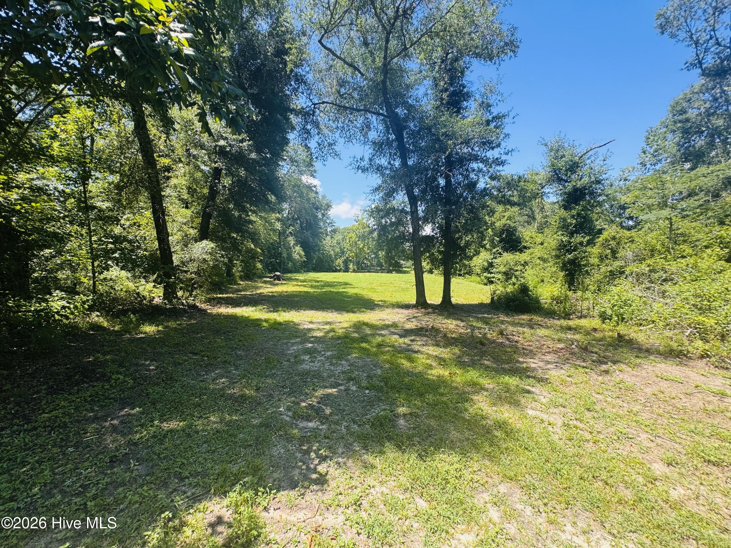 1042 Lake Cadeli Road Bartow, GA 30413 - Photo 16 of 17
