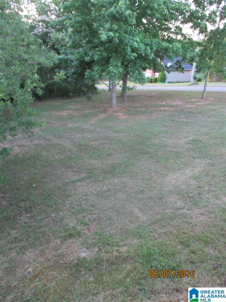 101 Greystone Drive Oneonta, AL 35121 - Photo 31 of 47