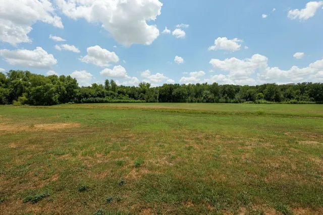 a view of a yard in front of a house with plants and large tree