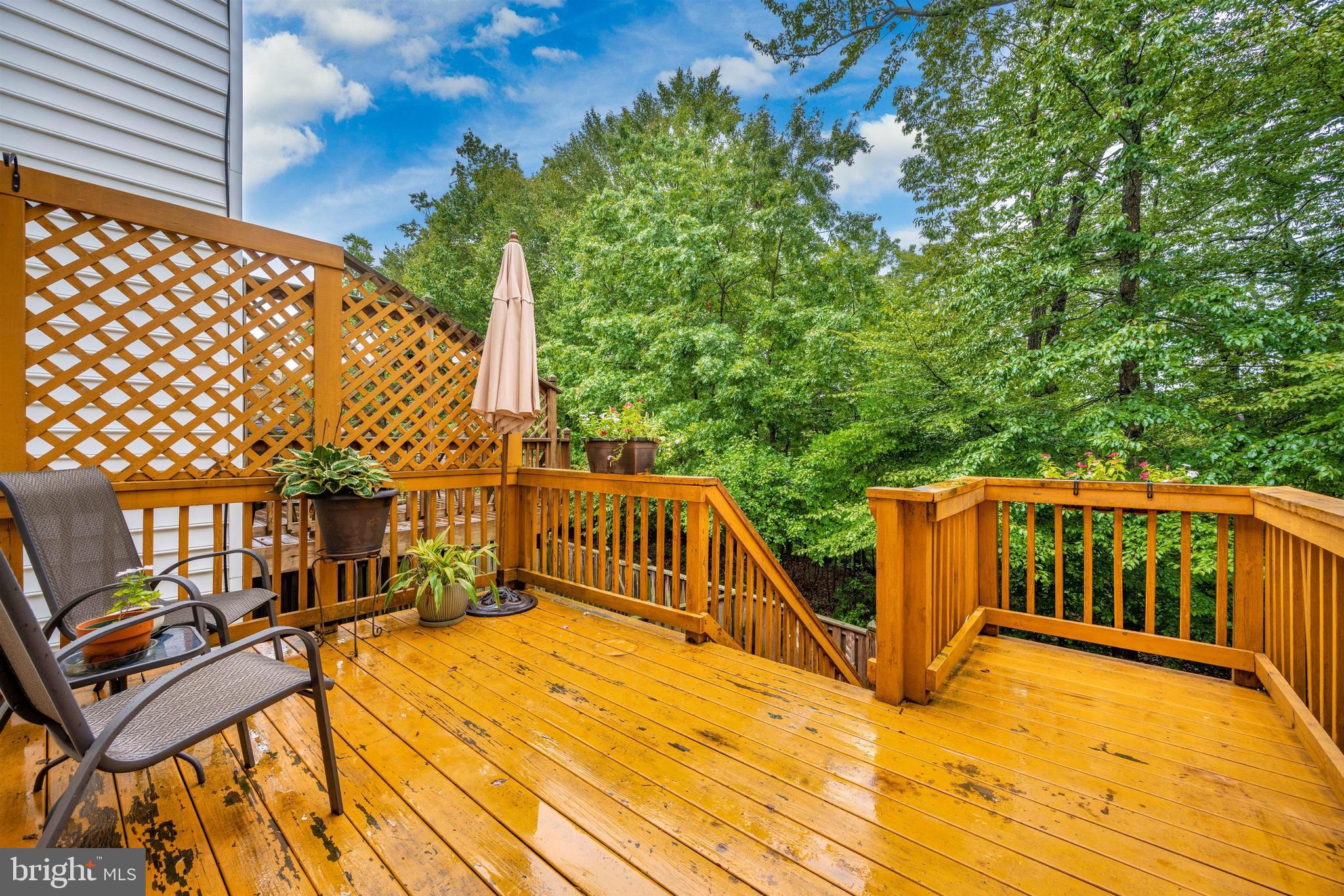 8152 Mississippi Road Laurel, MD 20724 - Photo 40 of 50 Gallery Image 40