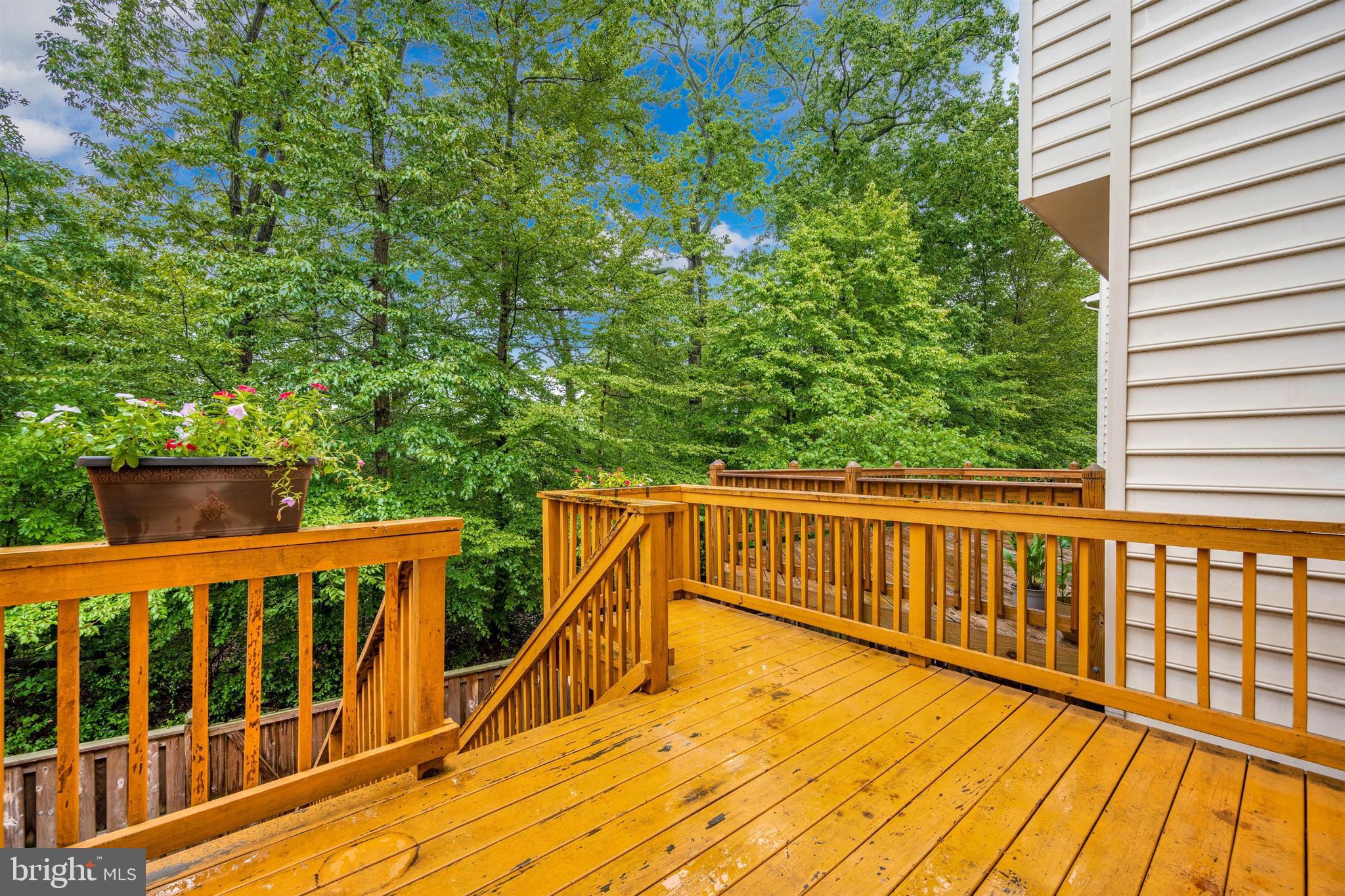 8152 Mississippi Road Laurel, MD 20724 - Photo 41 of 50 Deck with private views