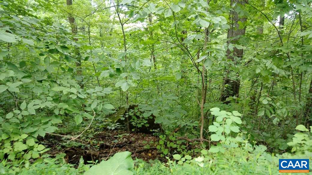Lot 24 Top Ridge Road Stanardsville, VA 22973 - Photo 7 of 21 a view of a lush green forest