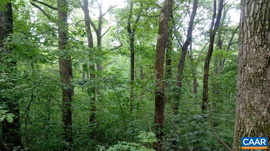 Lot 24 Top Ridge Road Stanardsville, VA 22973 - Photo 8 of 21 a view of a forest with trees