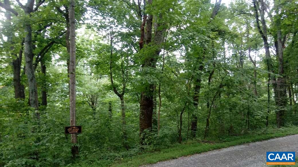 Lot 24 Top Ridge Road Stanardsville, VA 22973 - Photo 9 of 21 a view of a forest with trees in front of it
